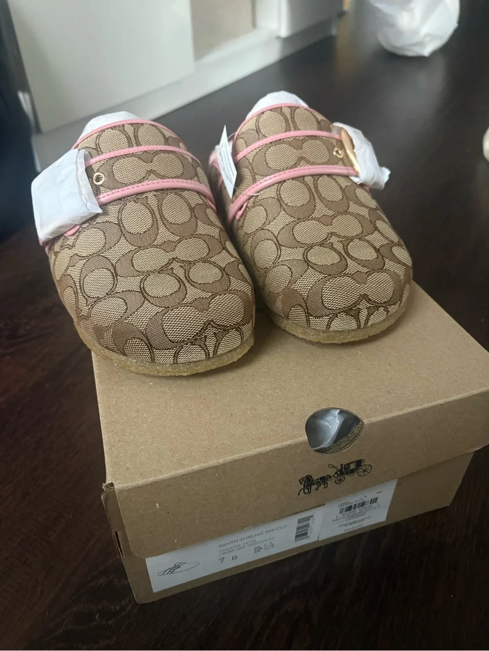 Coach slides - Picture 2 of 2